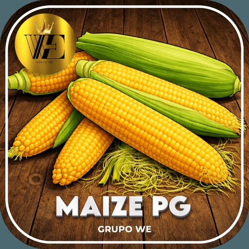 Maize PG cassino online licenciado com 2.500+ jogos certificados, bônus R$ 5.000🍀 Logo